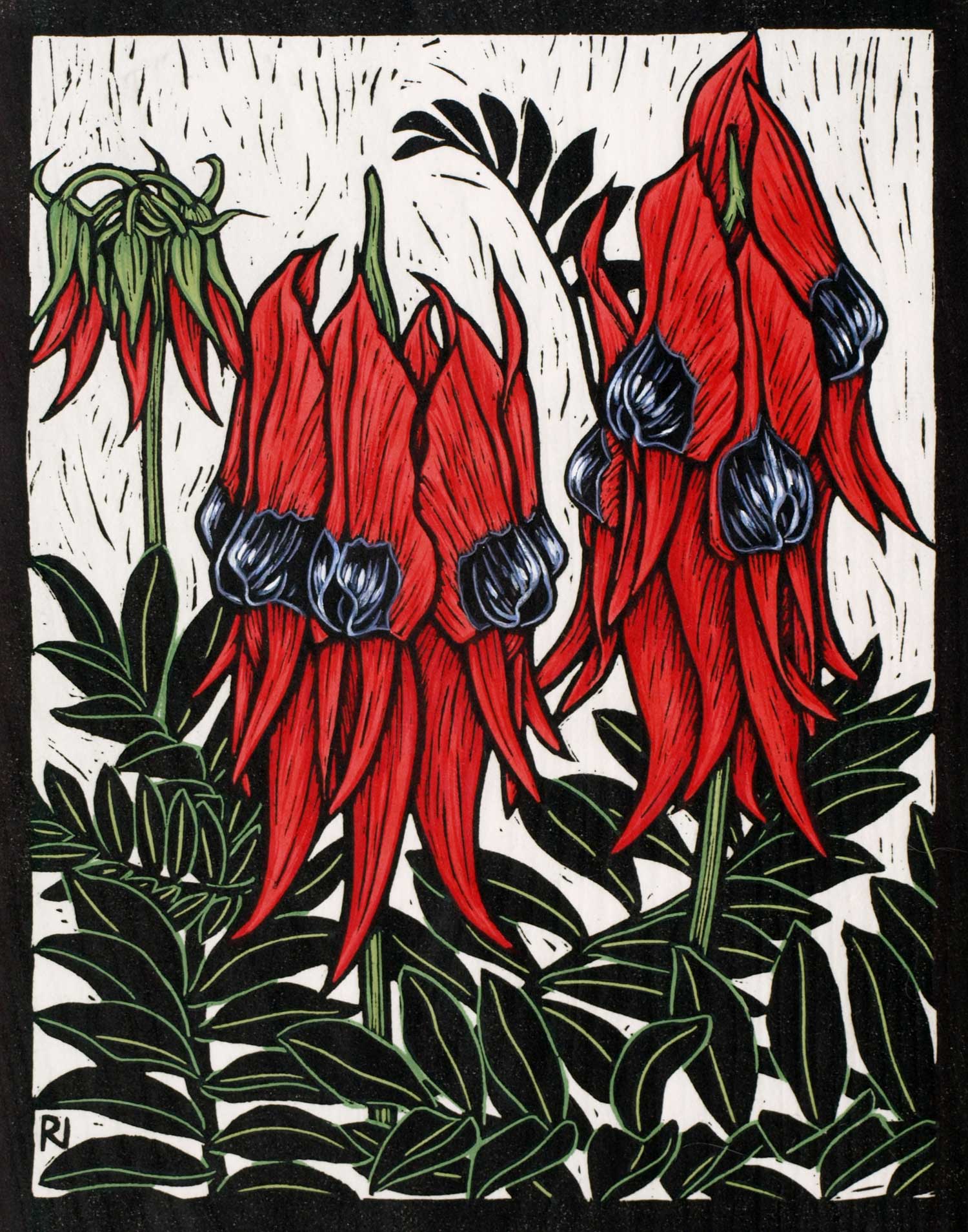 sturts-desert-pea-linocut-rachel-newling.jpg