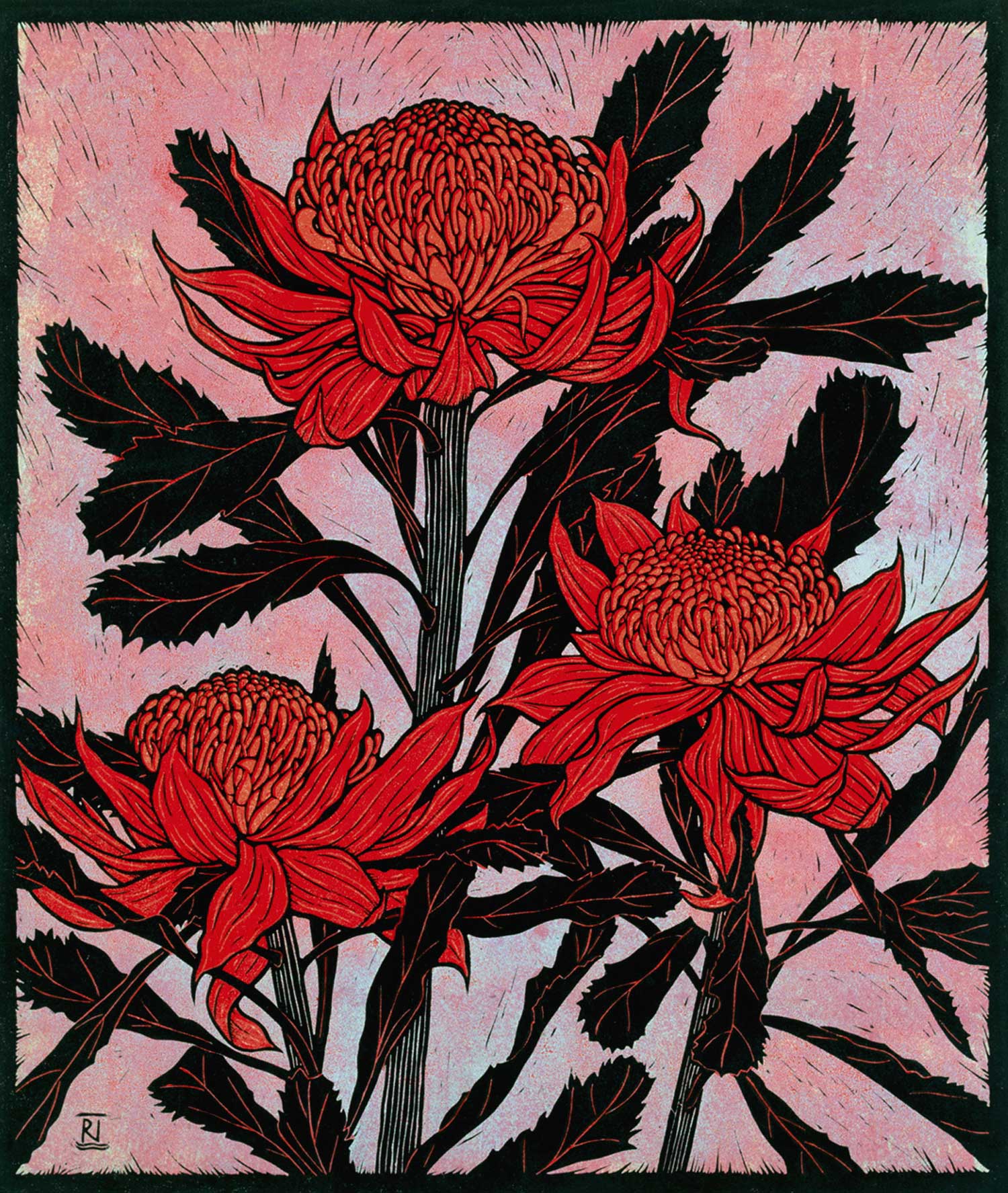 three-waratahs-linocut-rachel-newling.jpg