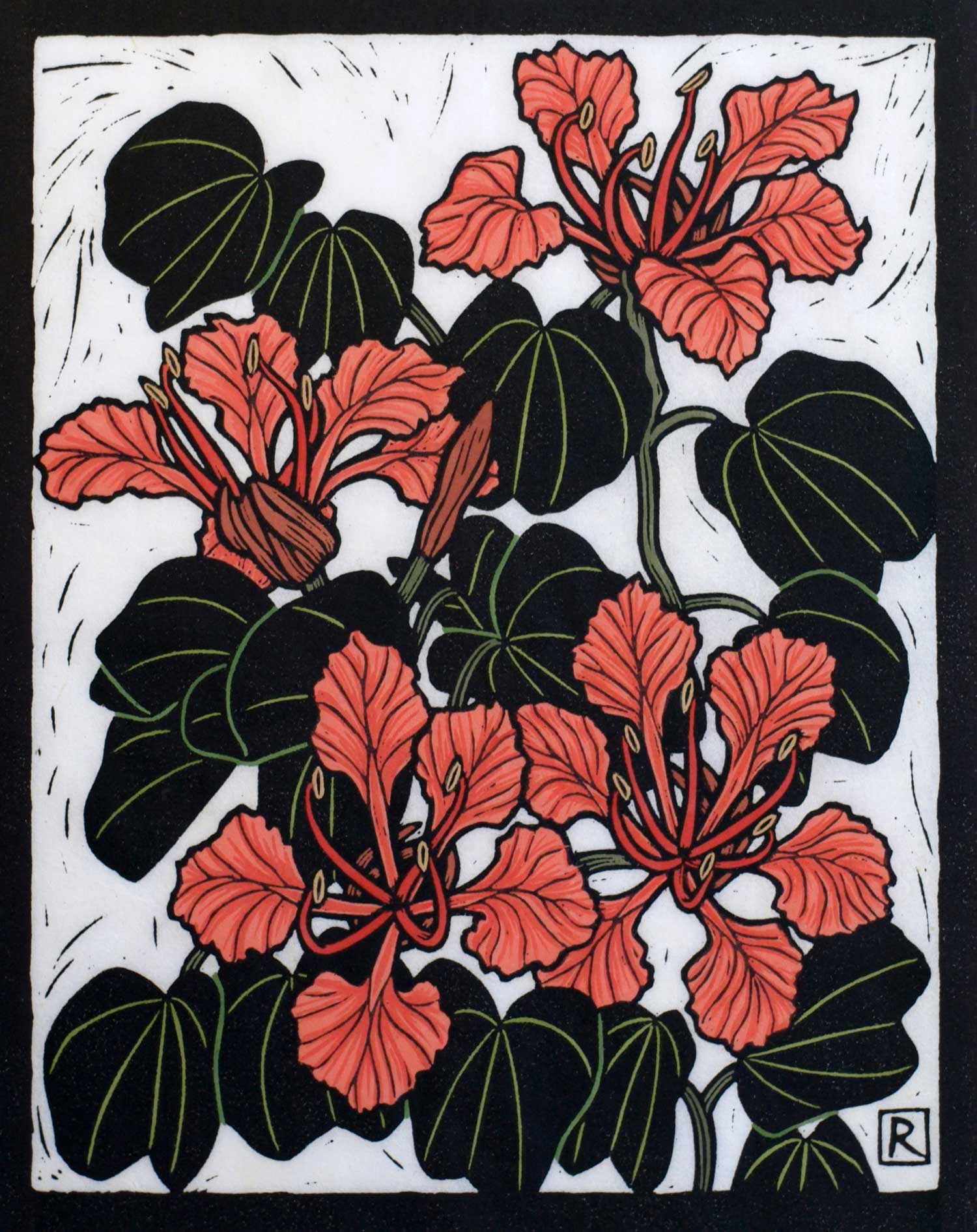 bauhinia-linocut-rachel-newling.jpg