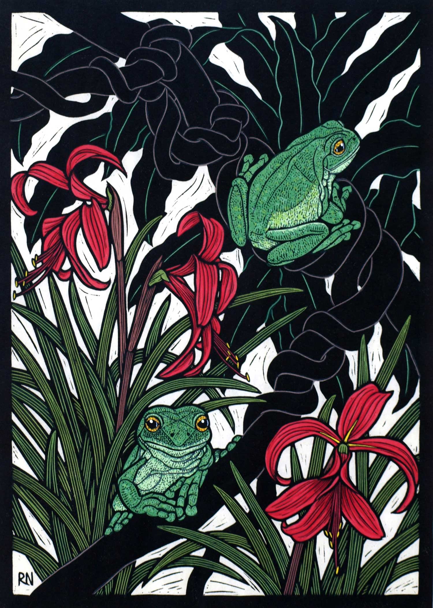 green-tree-frog-linocut-rachel-newling.jpg