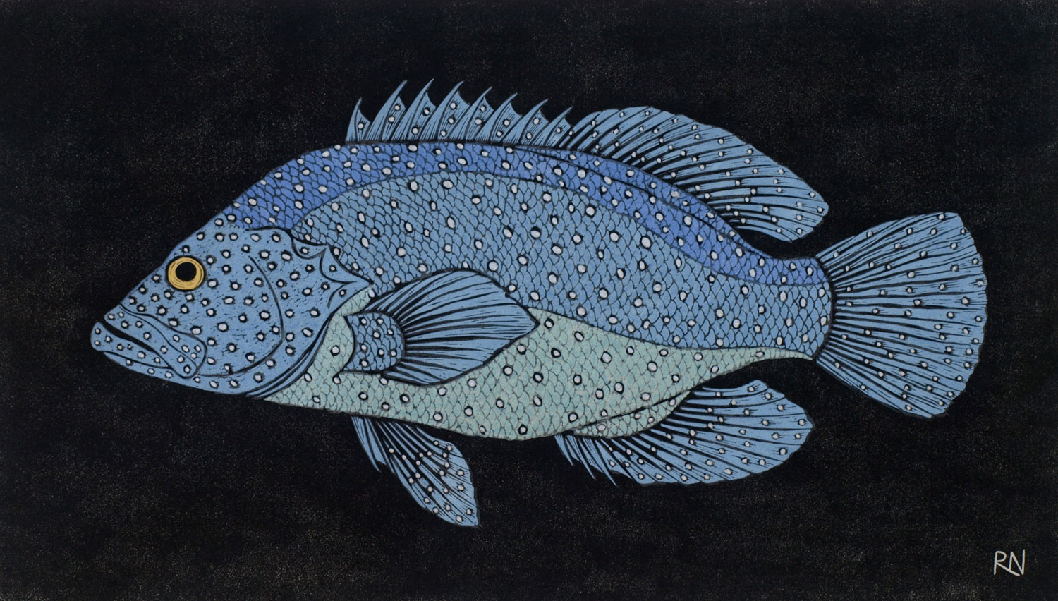 shoal-1-linocut-rachel-newling.jpg