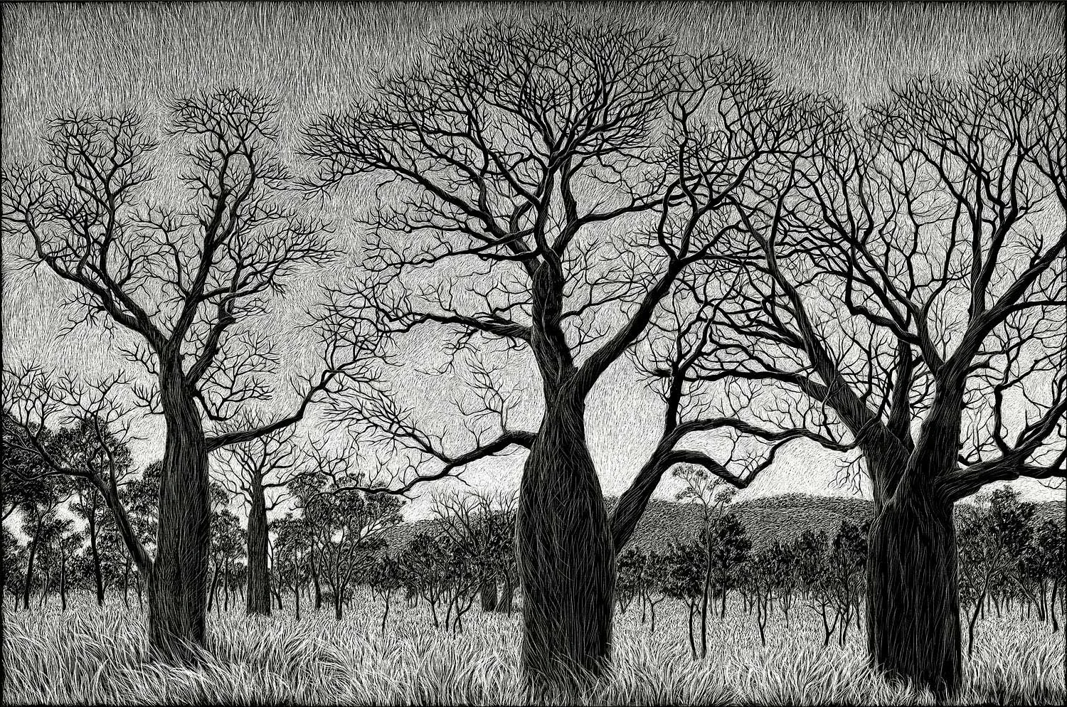 IN THE KIMBERLEY 61 X 91.5 CM EDITION OF 50 PIGMENT ON COTTON RAG PAPER $1,550