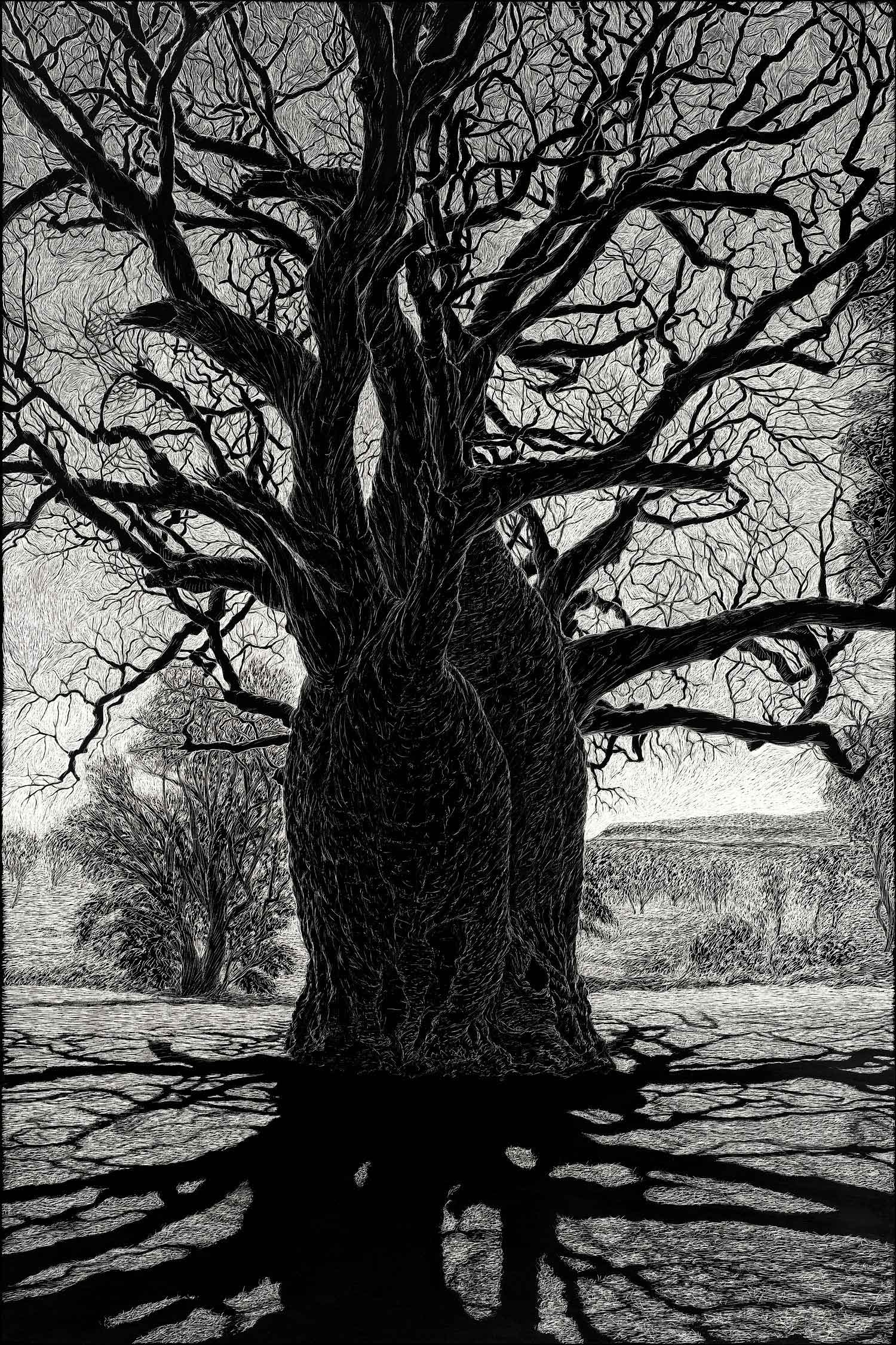 boab-tree-near-wyndham-engraving-rachel-newling.jpg