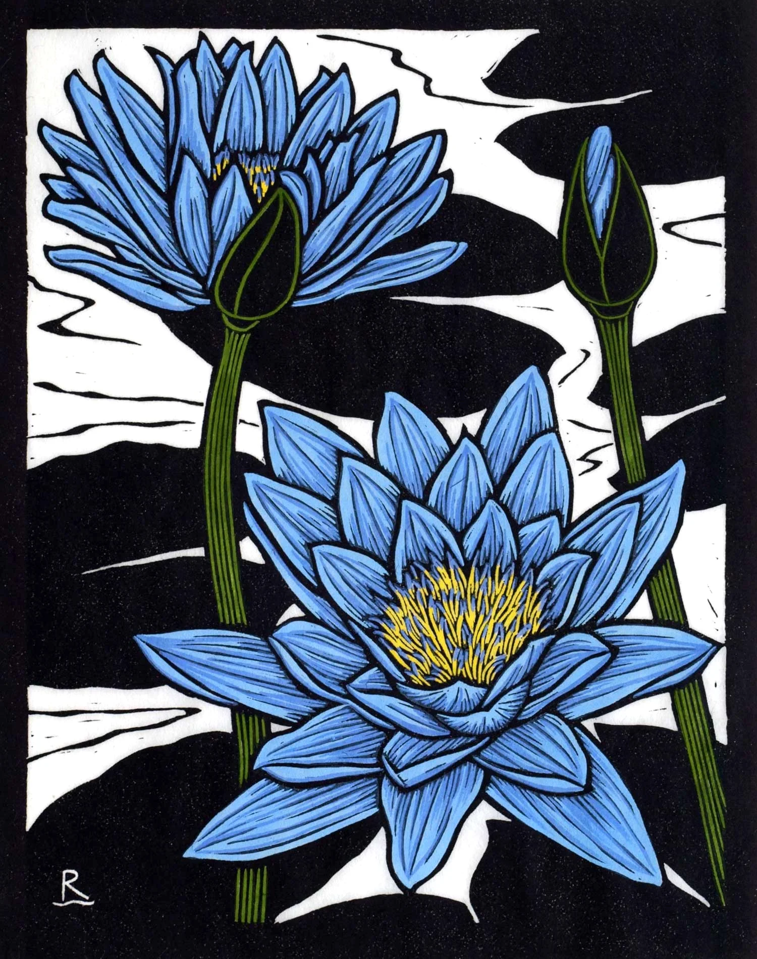 BLUE WATERLILY 28 X 22 CM EDITION OF 50 HAND COLOURED LINOCUT ON HANDMADE JAPANESE PAPER $600