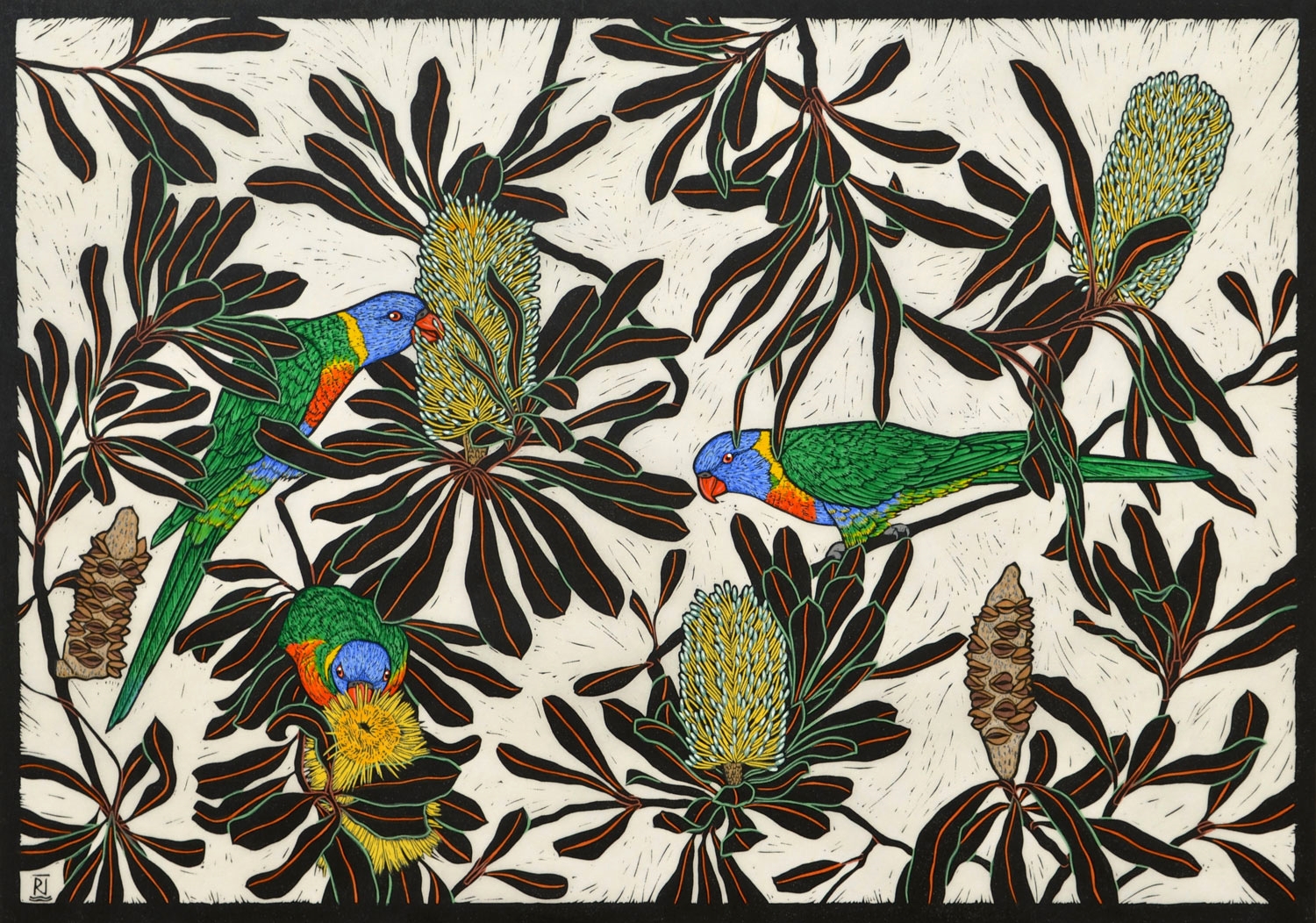 RAINBOW LORIKEET and COAST BANKSIA 53 X 74.5 CM, EDITION OF 50 HAND-COLOURED LINOCUT ON HANDMADE JAPANESE PAPER $1,550