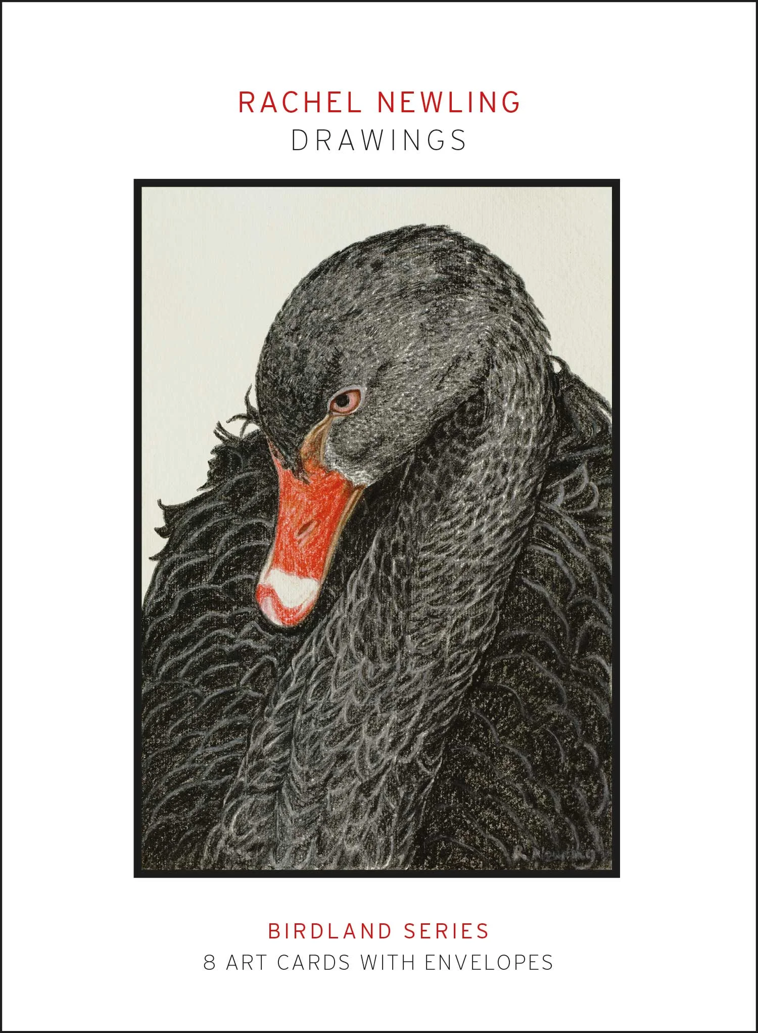Birdland Series drawings pack