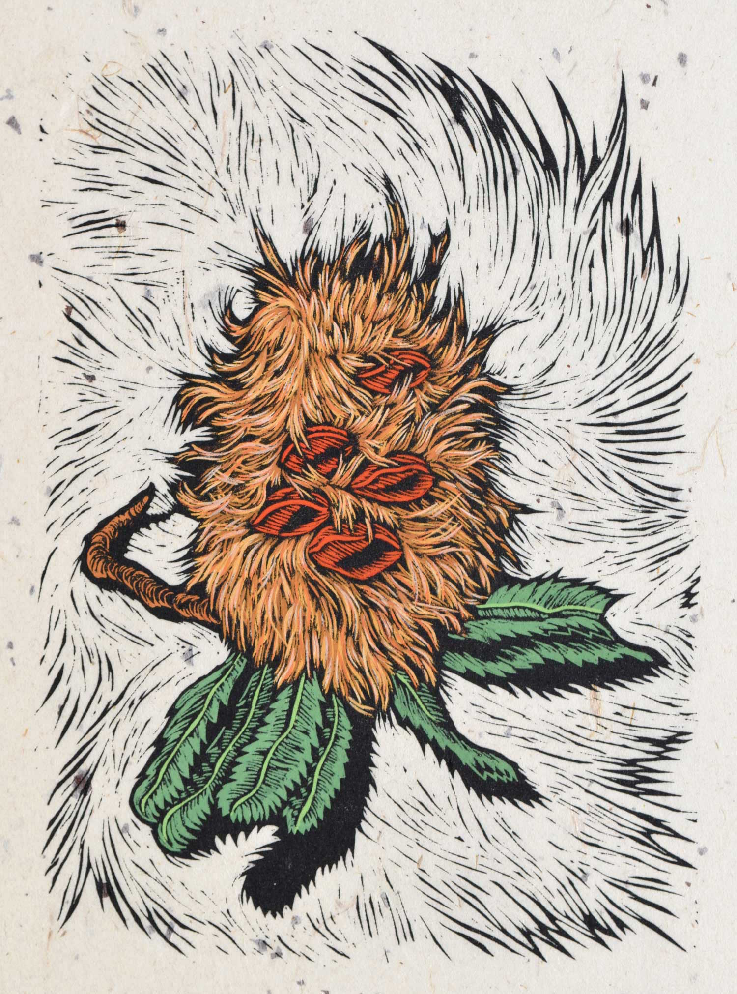 banksia-man-linocut-rachel-newling.jpg