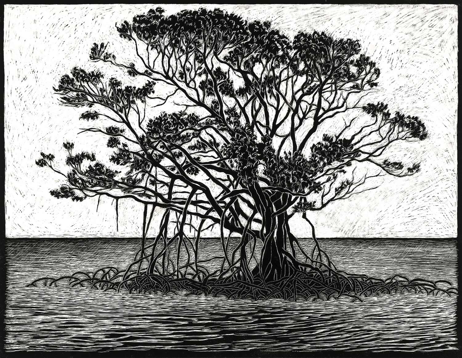 mangrove-engraving-rachel-newling.jpg