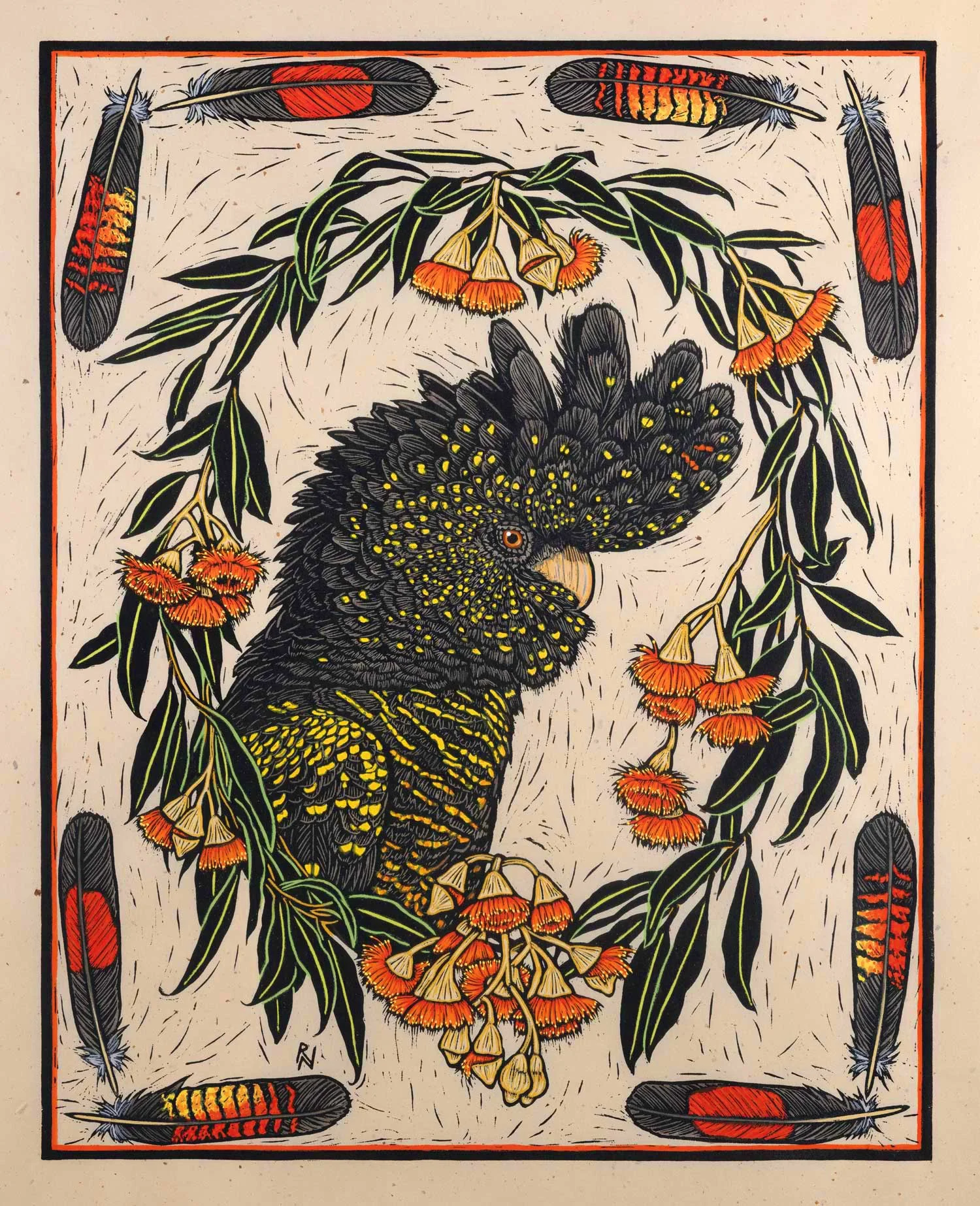 Black Cockatoo and gum Blossom 49 x 39 cm Edition of 50 Hand coloured linocut on handmade Japanese paper $1,100