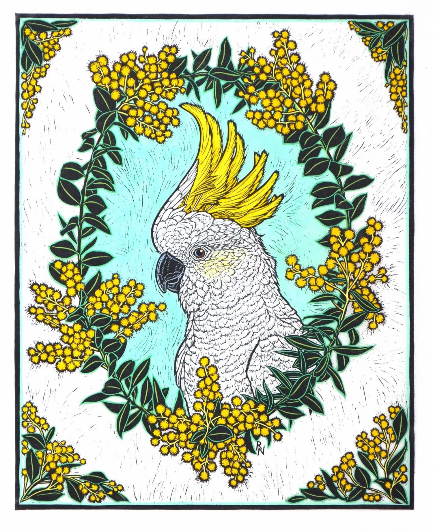 White Cockatoo and wattle 48 x 38.5 cm Edition of 50 Hand Coloured linocut on handmade japanese paPER $1,100
