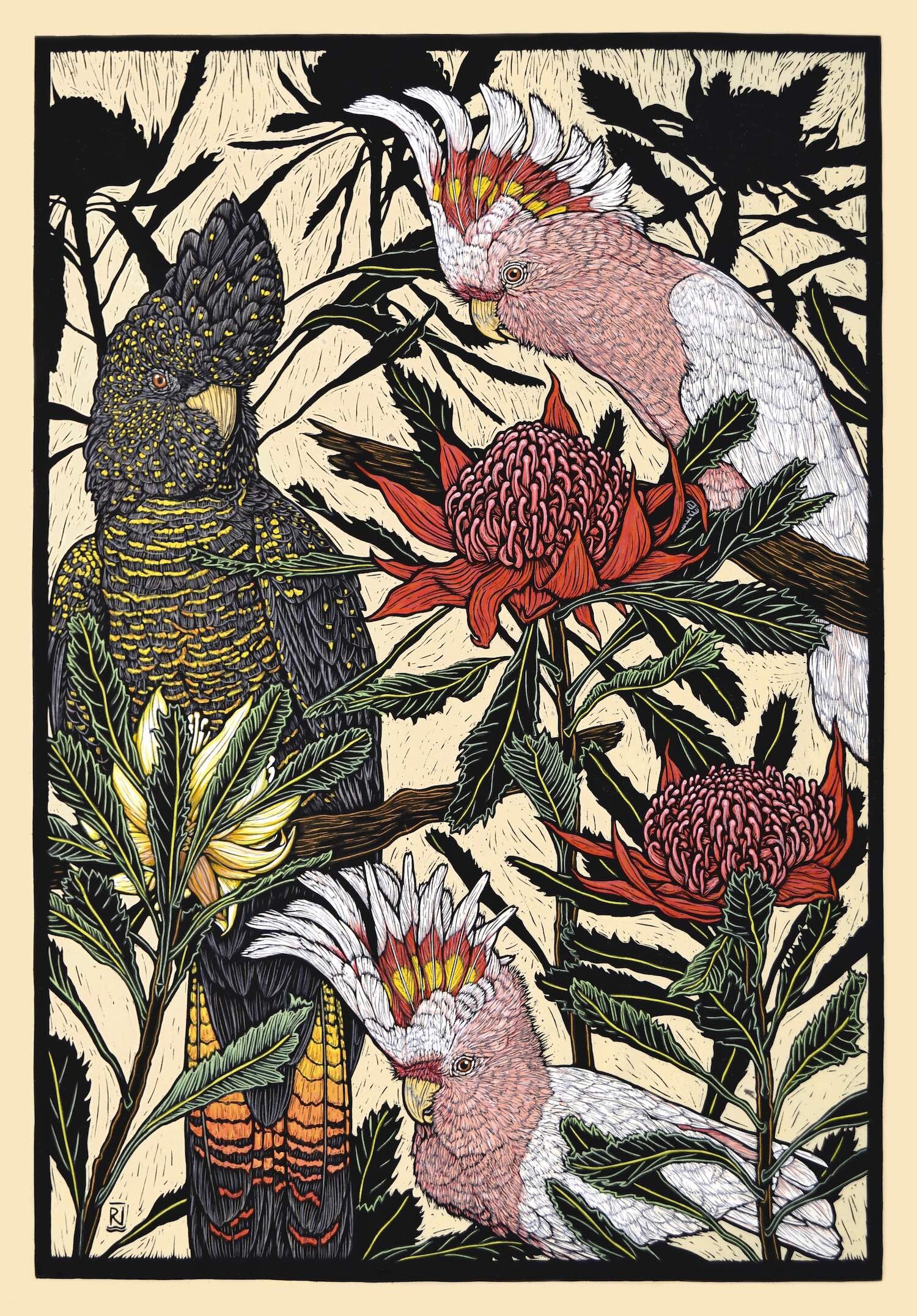 major-mitchell-cockatoo-and red-tailed-black-cockatoo-with-waratah-linocut-rachel-newling.jpg