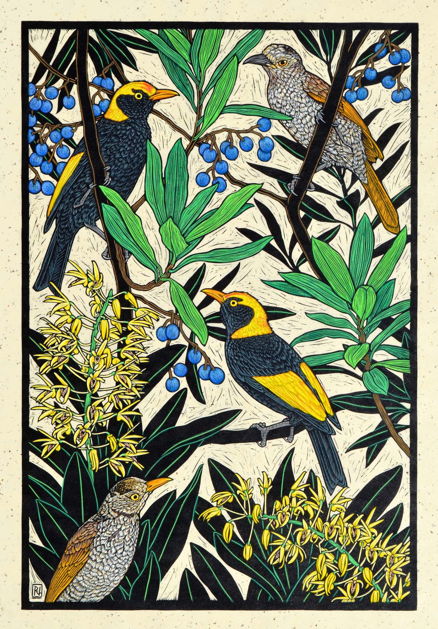 regent-bowerbird-linocut-rachel-newling.jpg