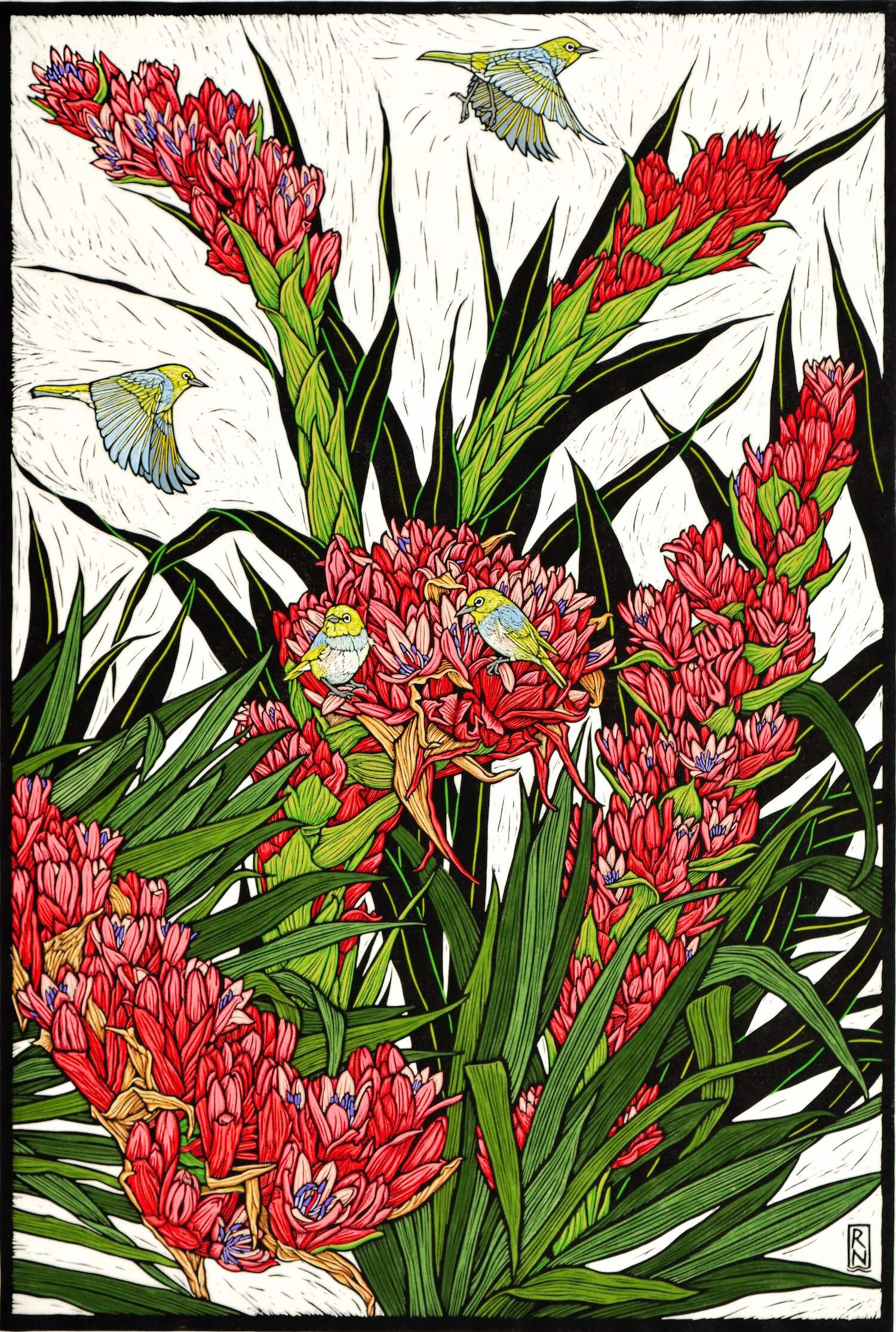 giant-spear-lily-linocut-rachel-newling.jpg