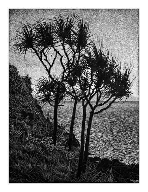 Headland with Pandanus