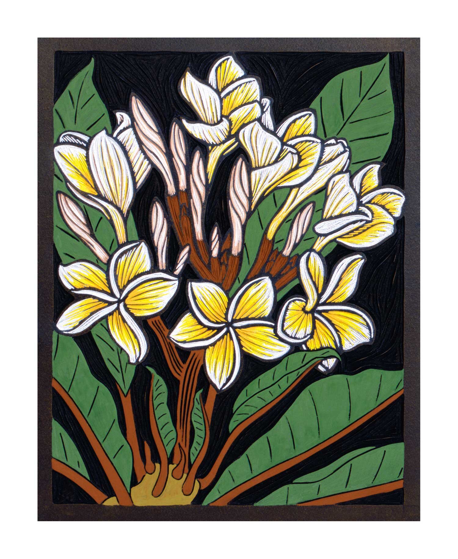 Frangipani