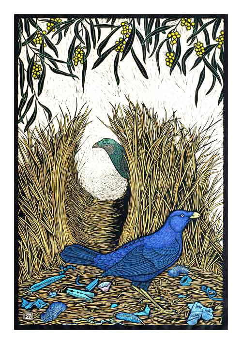 Satin Bowerbird