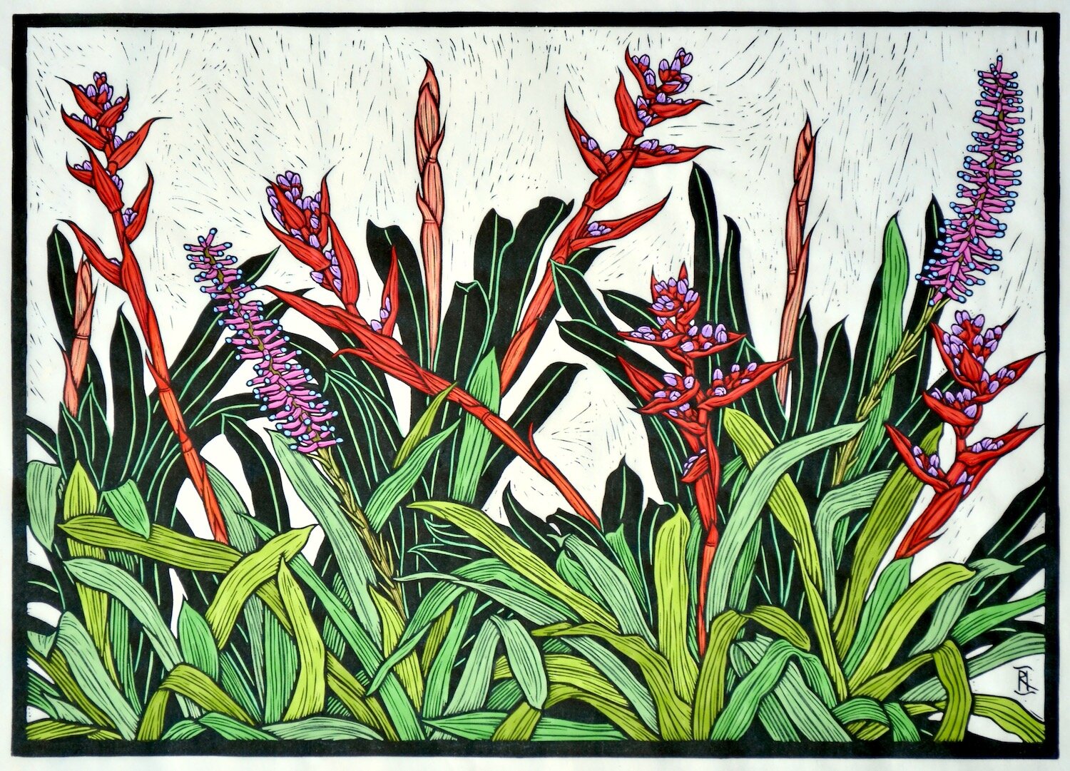 bromeliads-linocut-rachel-newling.jpg