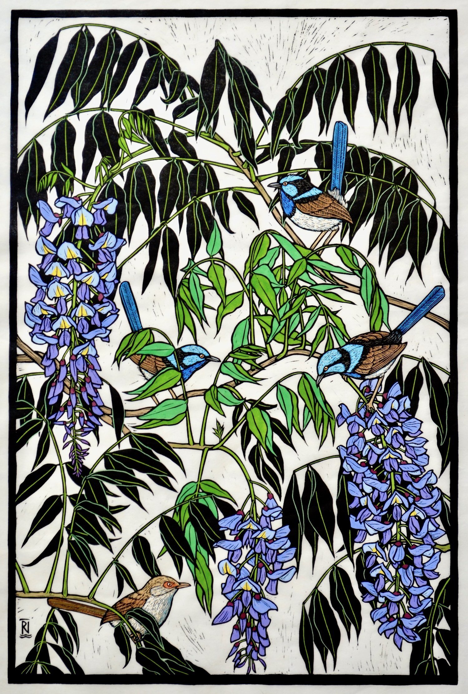 wisteria-blue-wrens-linocut-rachel-newling.jpg