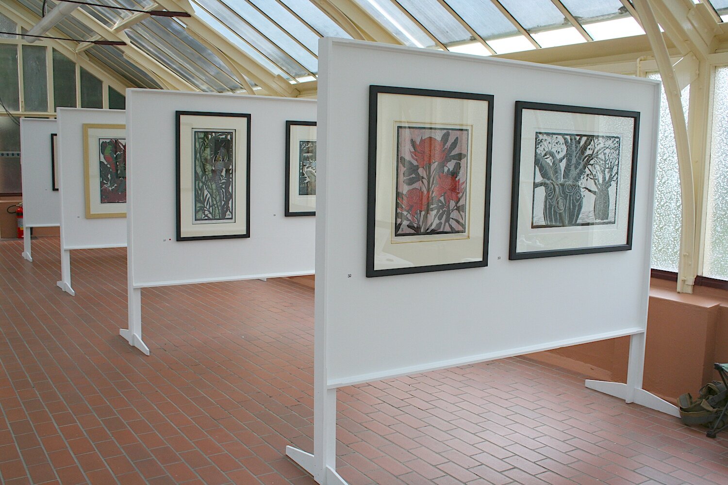 rachel-newling-exhibition-waratah.jpg