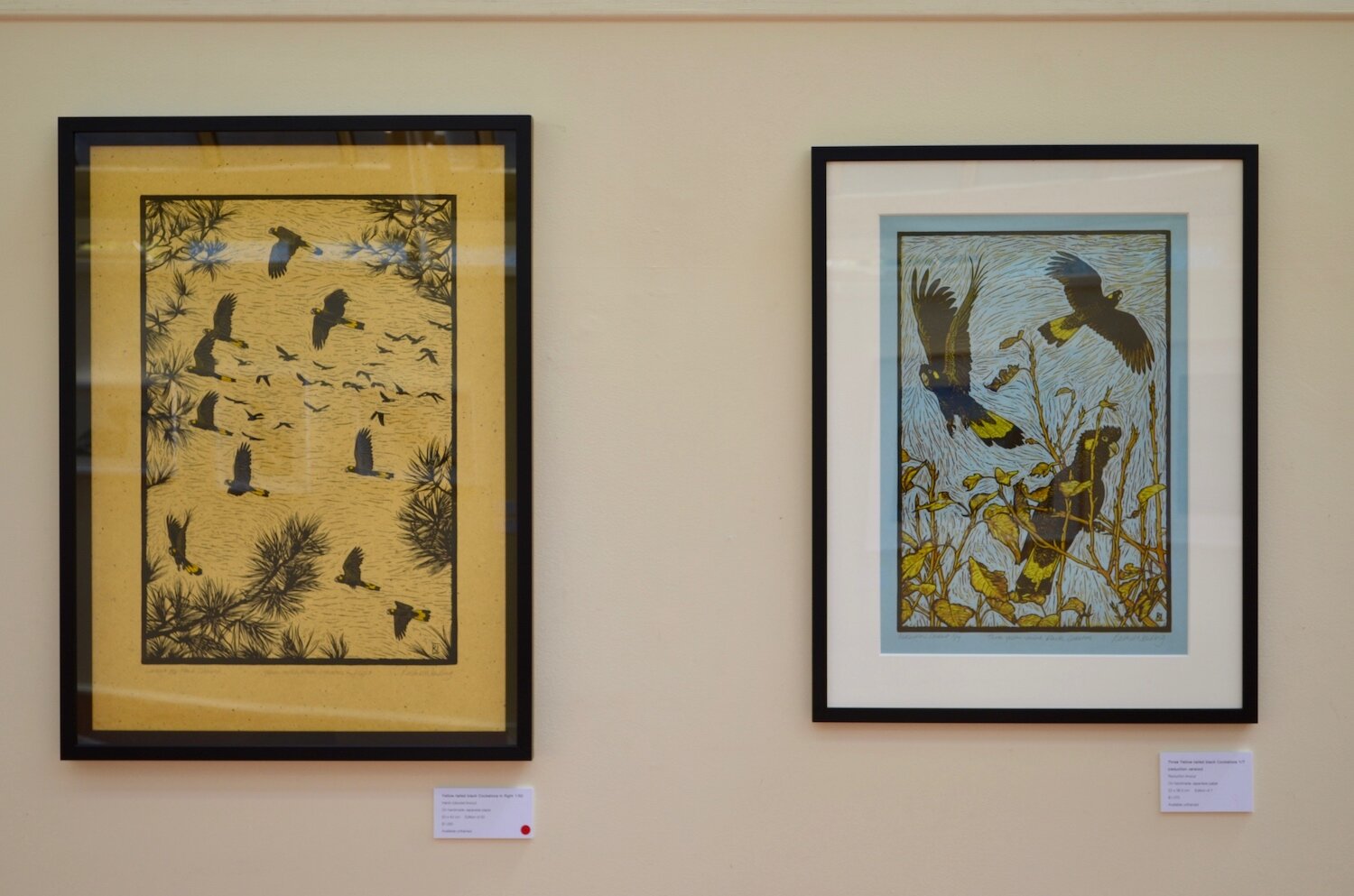 rachel-Newling-exhibition-yellow-tailed-black-cockatoos.jpg