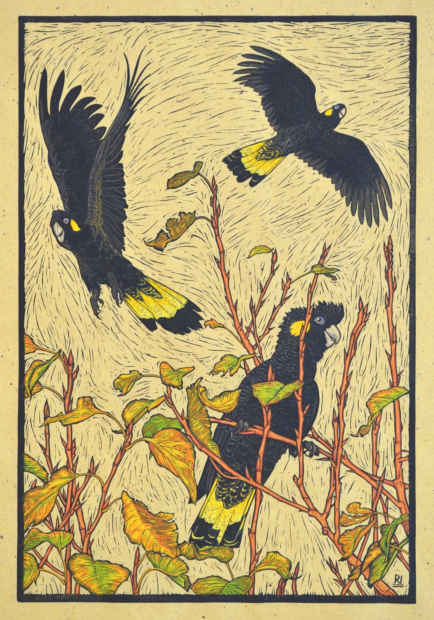 three-yellow-tailed-black-cockatoos-linocut-rachel-newling.jpg
