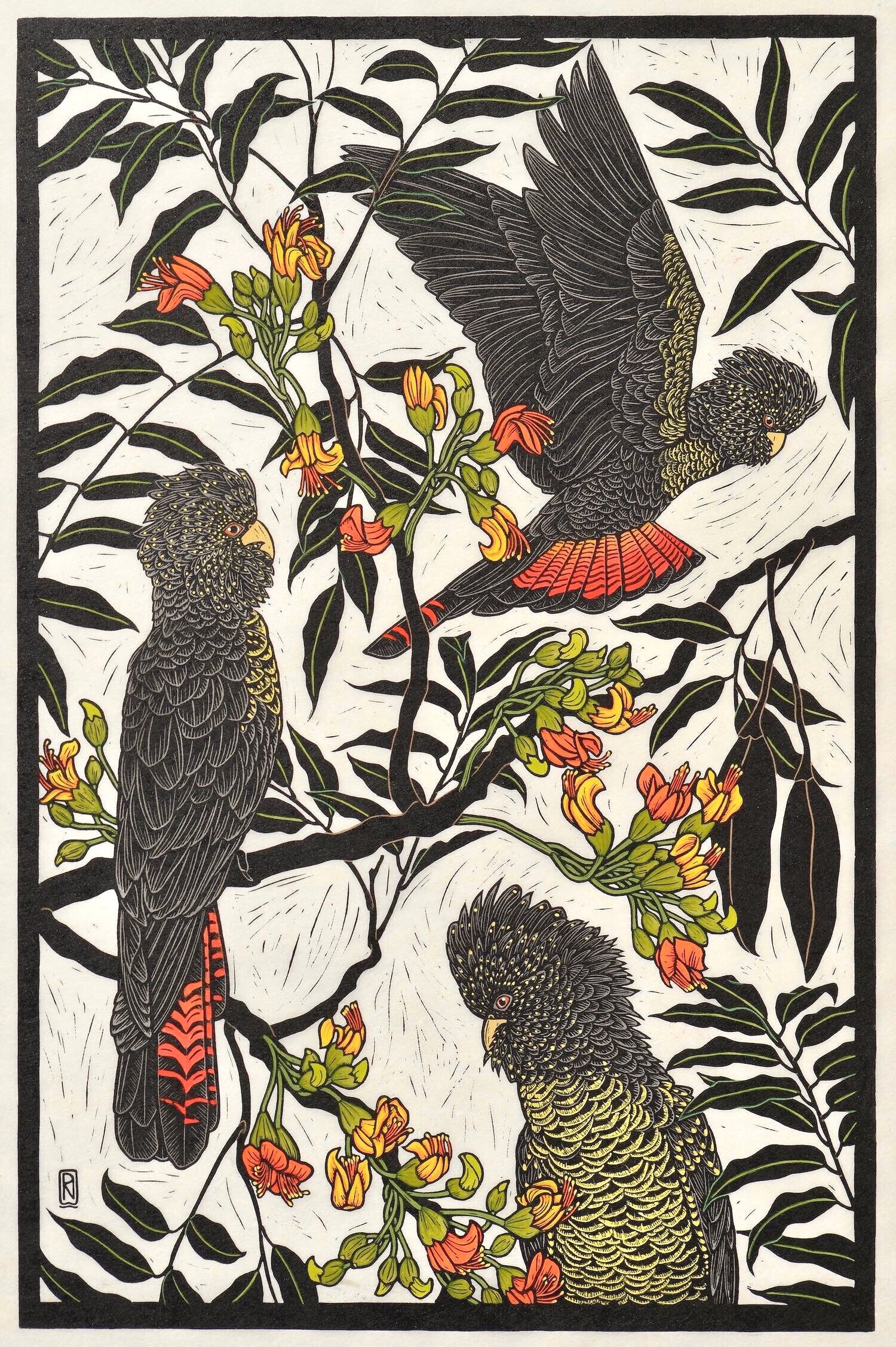 red-tailed-black-cockatoo-linocut-rachel-newling.jpg