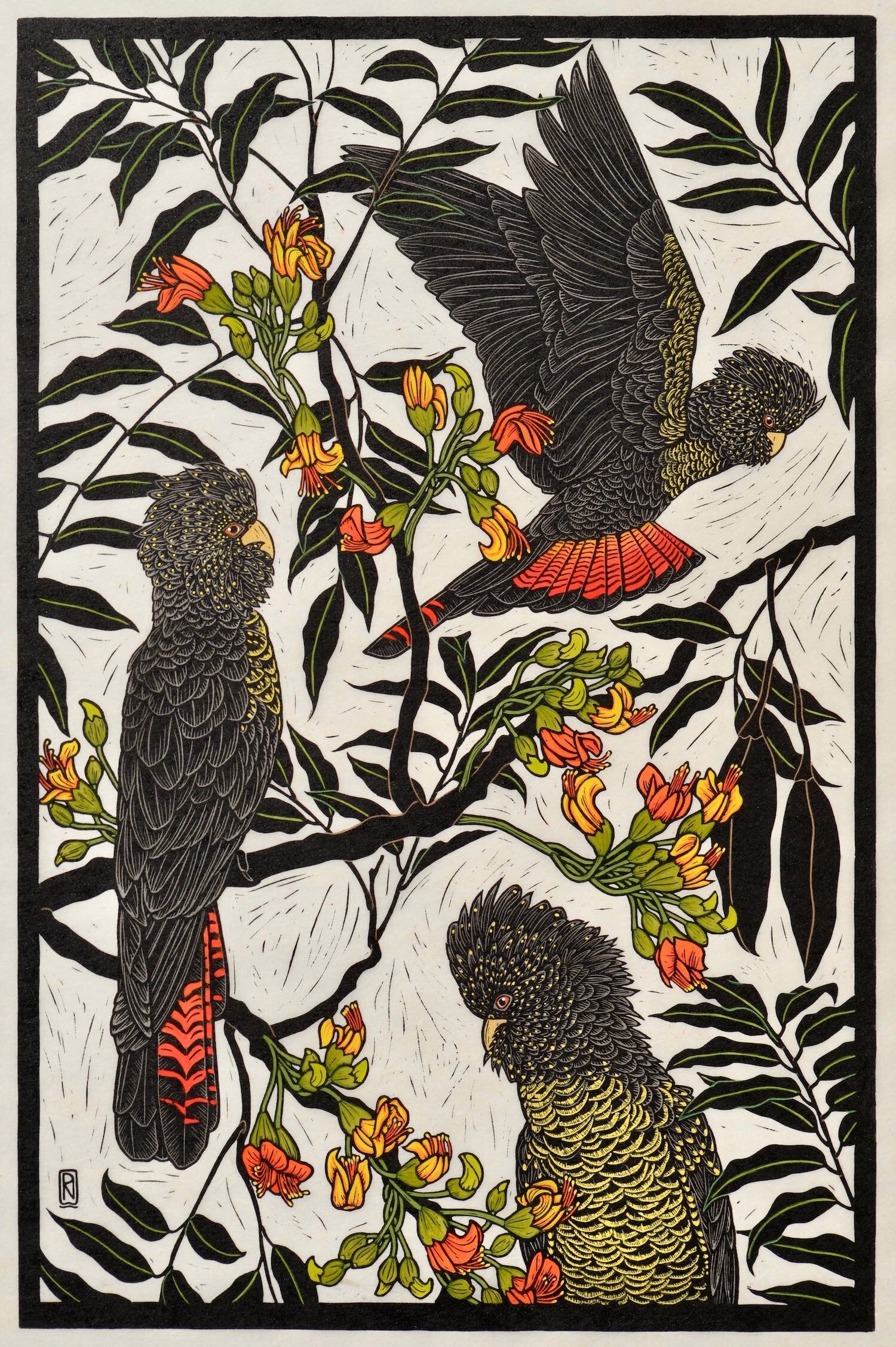 red-tailed-black-cockatoo-linocut-rachel-newling.jpg