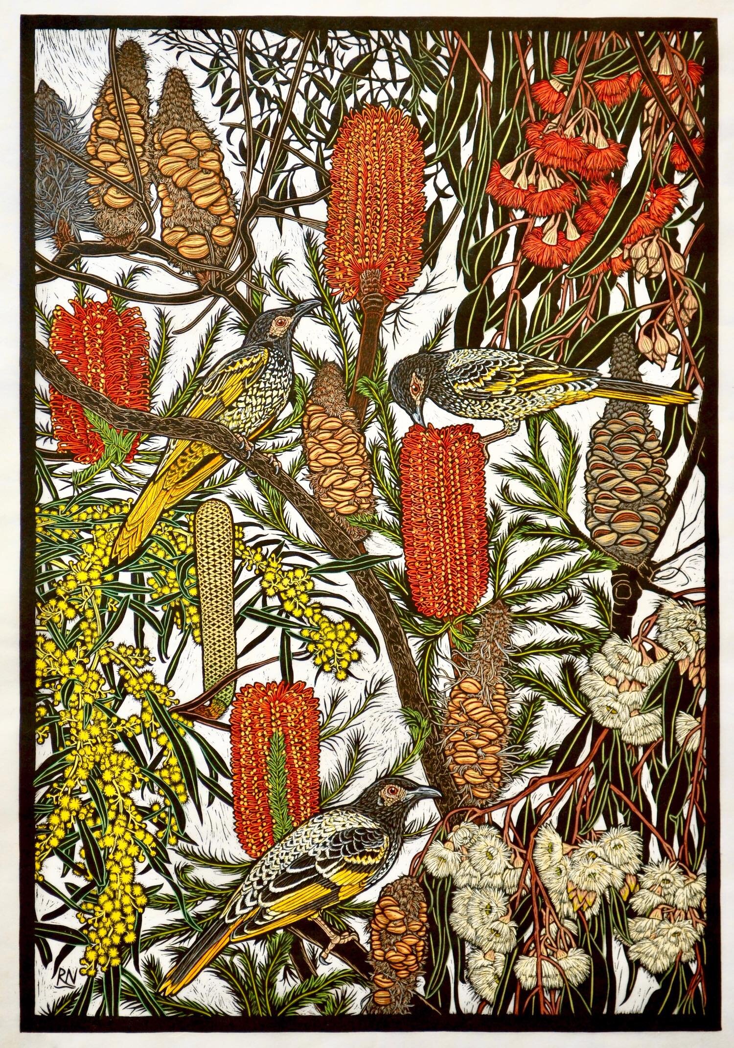 regent-honeyeater-native-flowers-art-linocut-rachel-newling.jpg