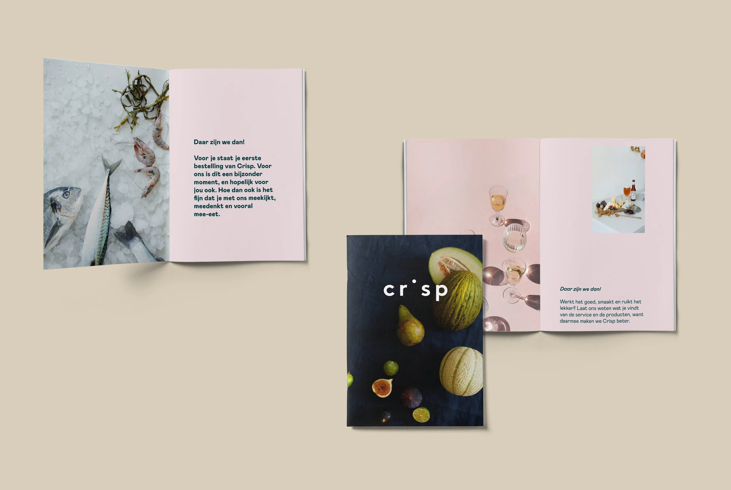 crisp-designer-freelance-oceane-combeau