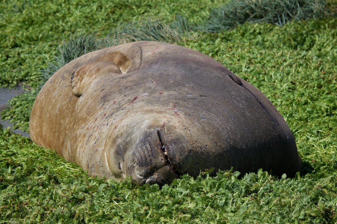 1 81.jpg