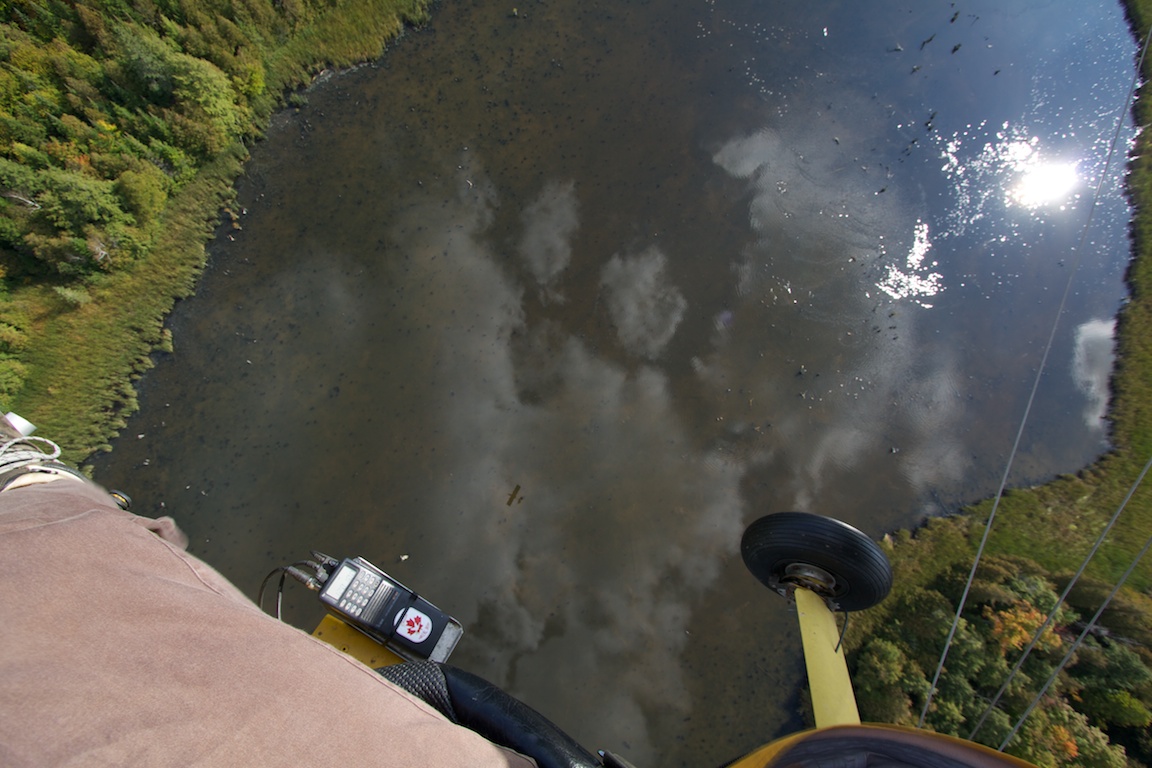 Don't look down!!.jpg