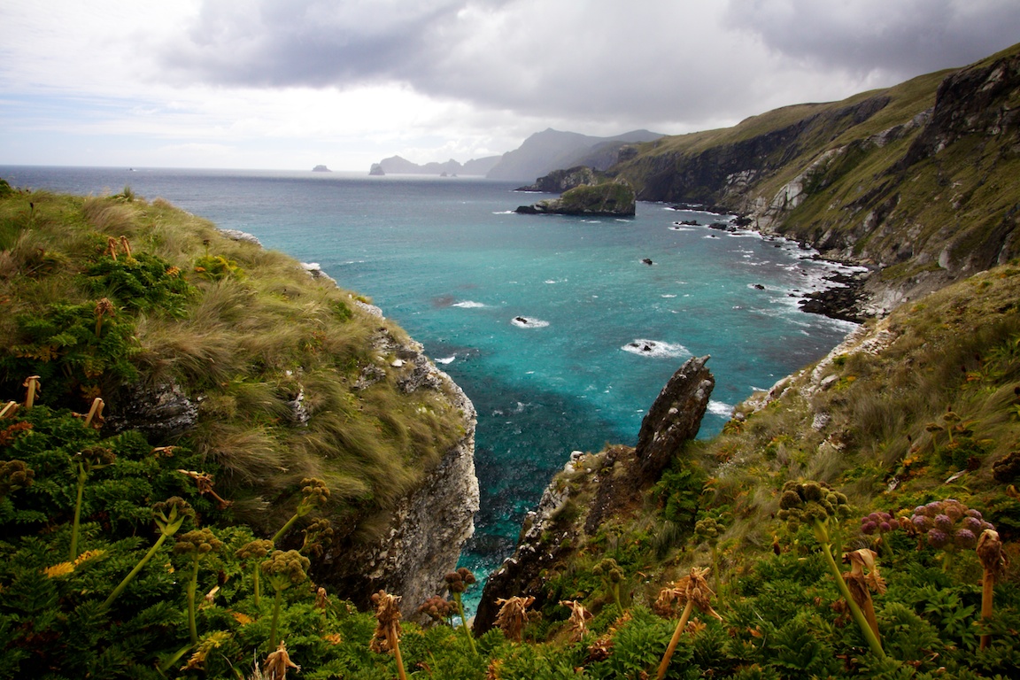 Northwest bay, Campbell Island, New Zealand Subantarctic..jpg