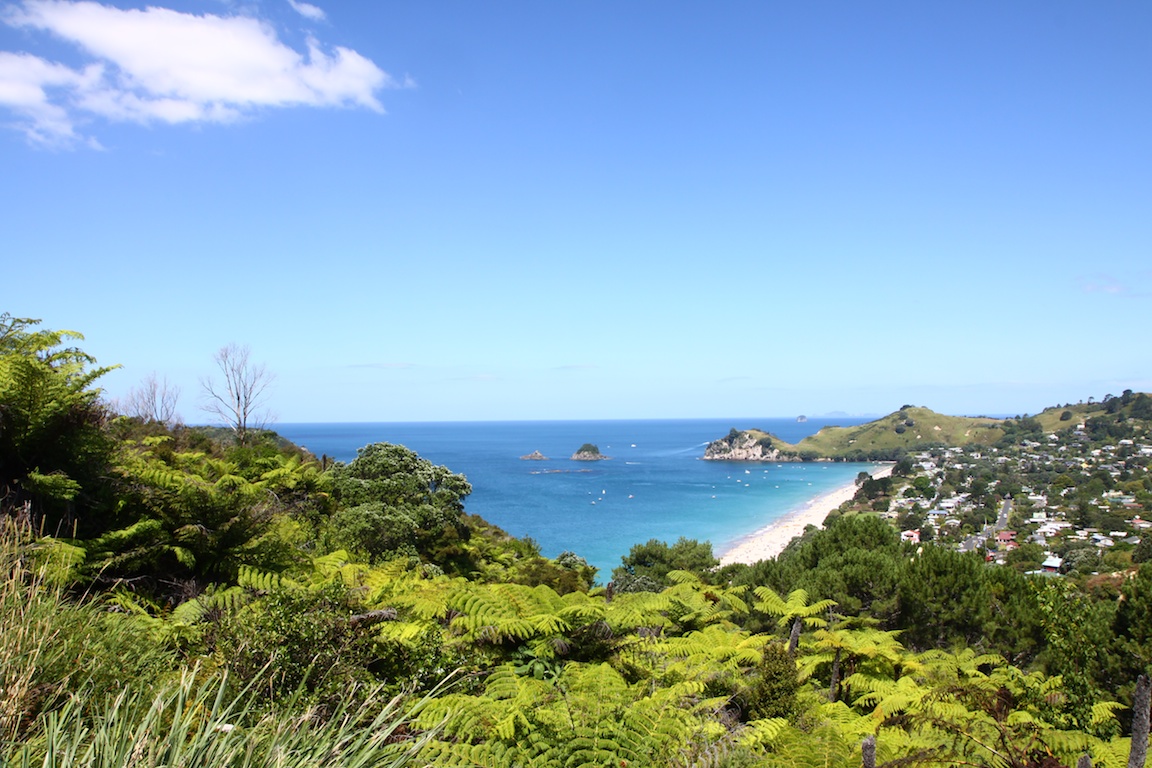 Hahei beach.jpg