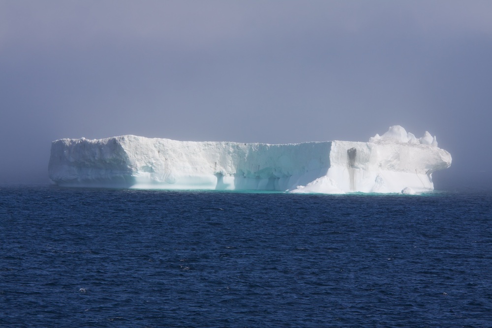 Bergs off the west coast of Greenland