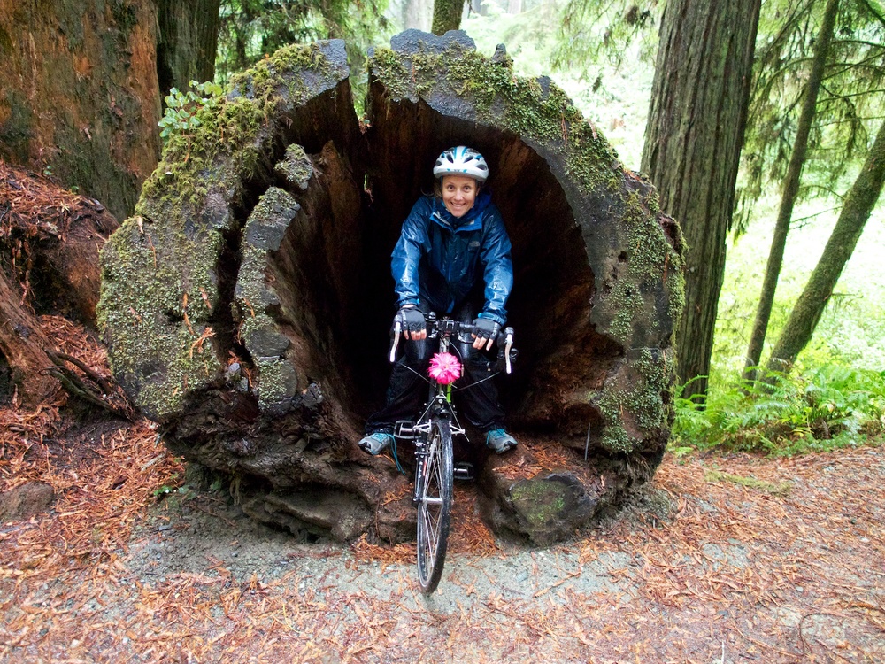 Hiding from the rain in a hollowed out redwood.