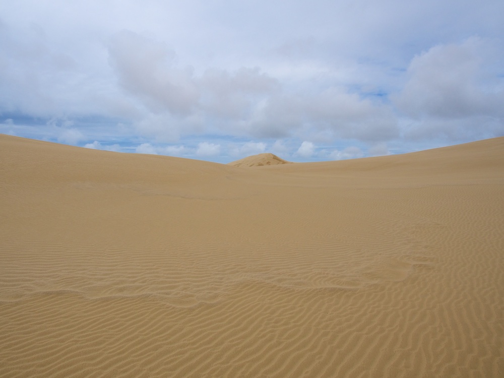 Te Paki Sand Dunes