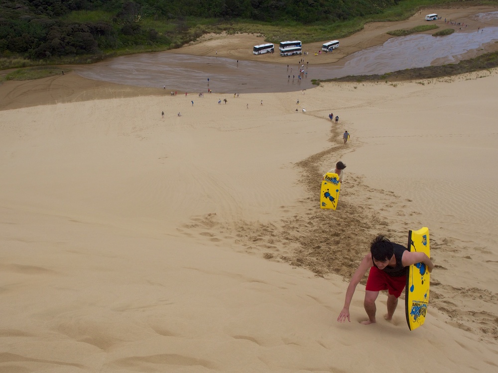 Sand boarding at Te Paki Sand Dunes