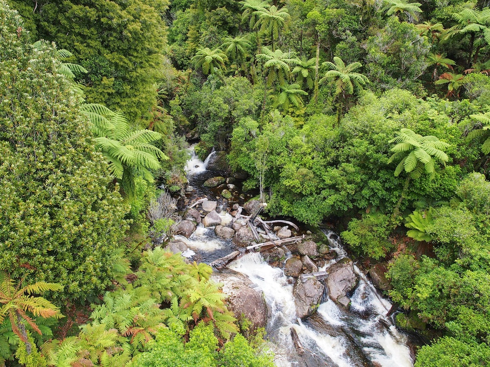 The Timber Trail near Taumaranui