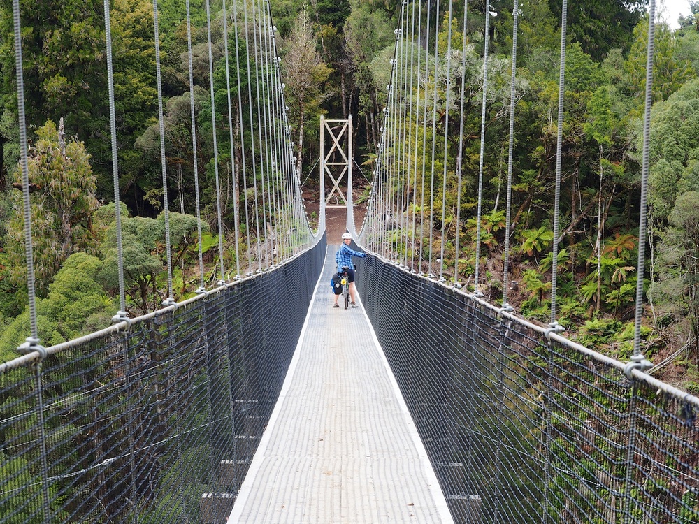 The Timber Trail near Taumaranui