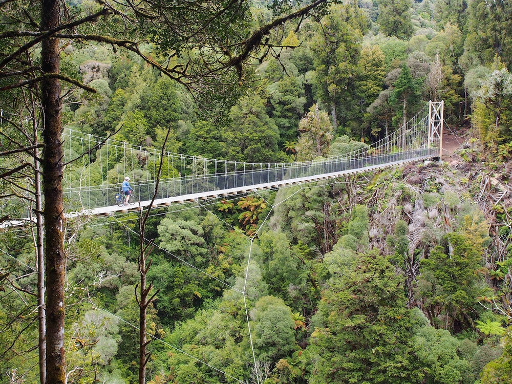 The Timber Trail near Taumaranui