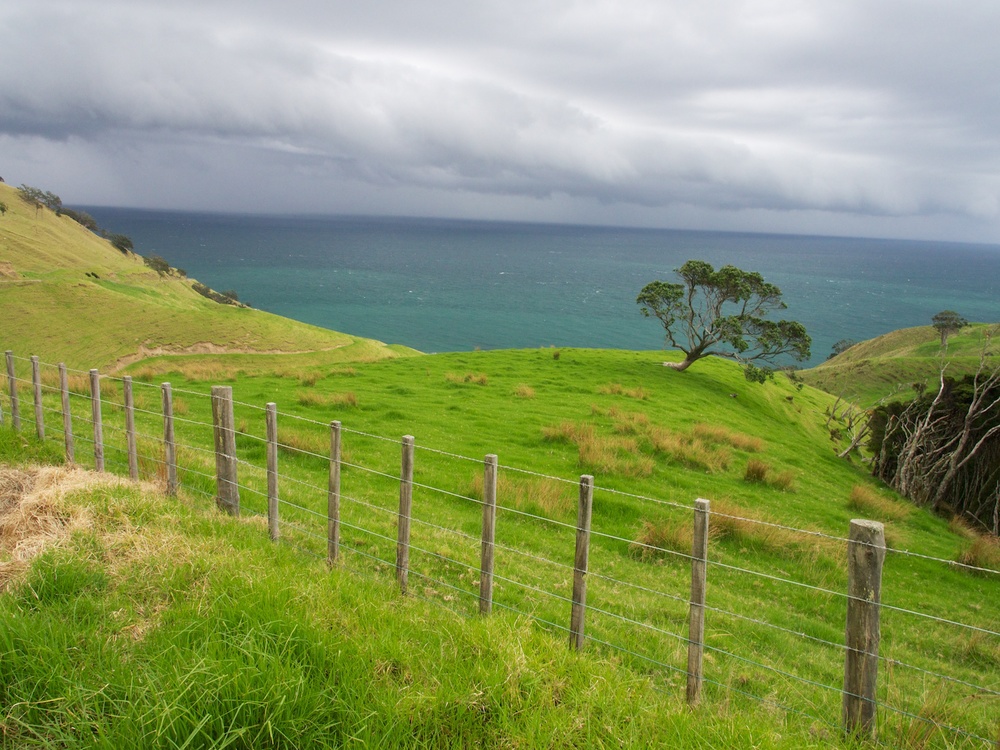 Coromandel Paninsula