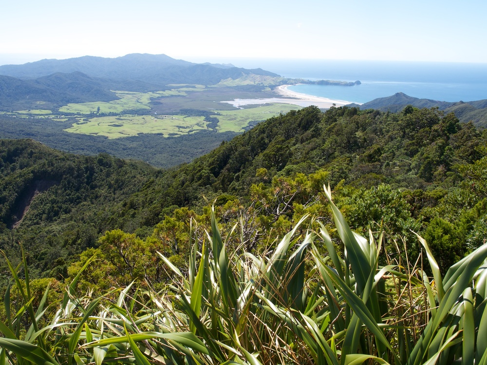 North end of Great Barrier Island