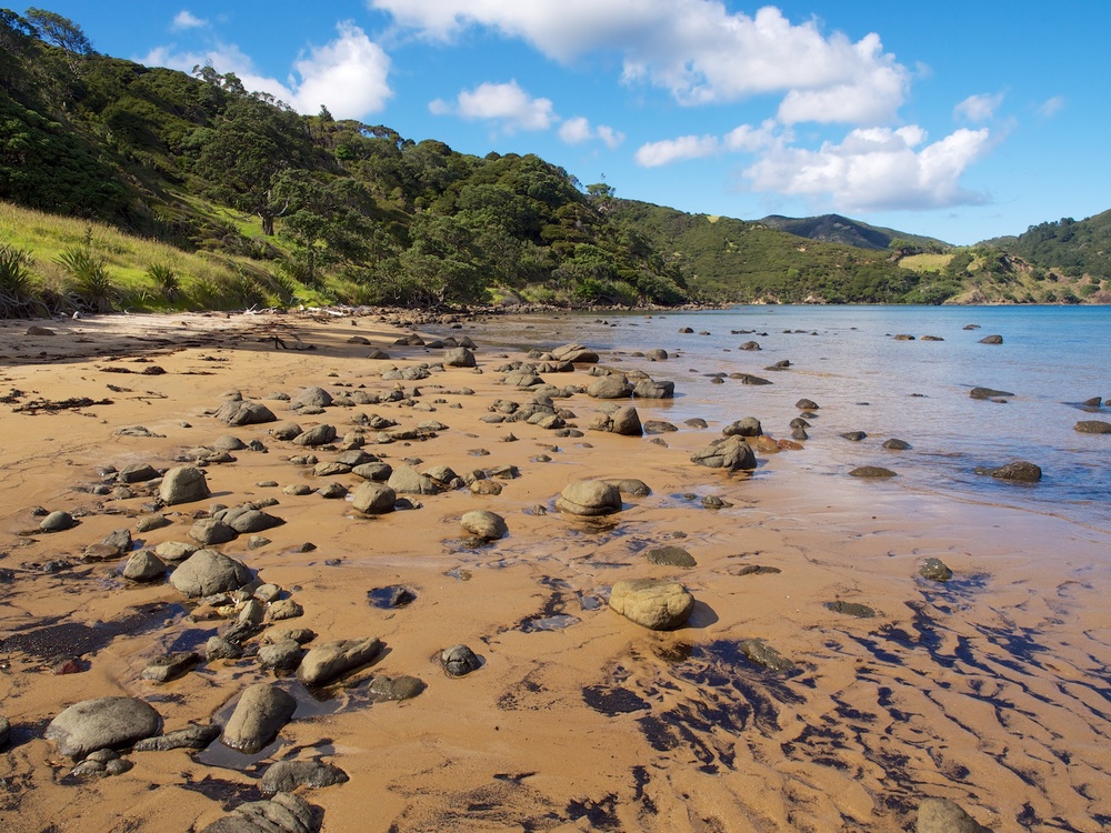 Blind Bay, Great Barrier Island