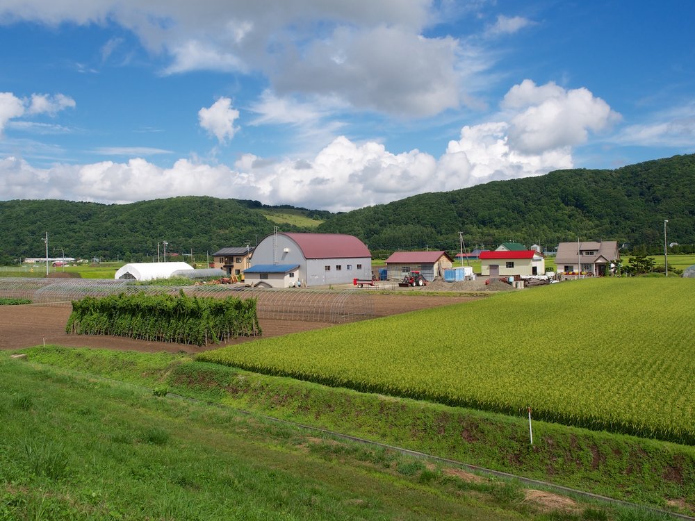 Hokkaido farm country.