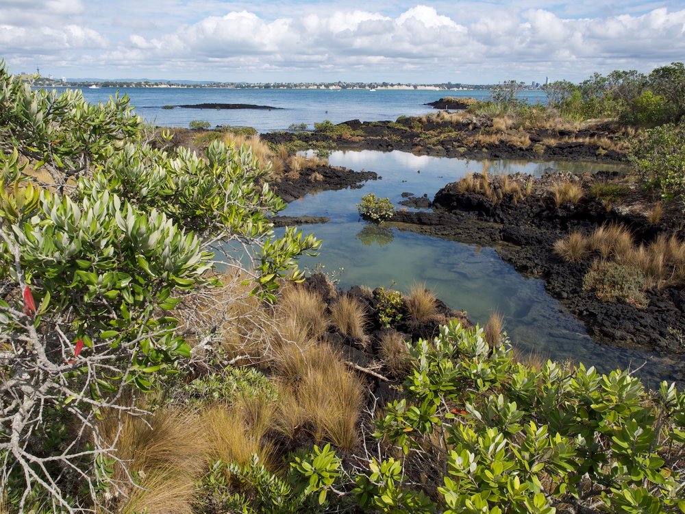 Rangitoto Island, Hauraki Gulf