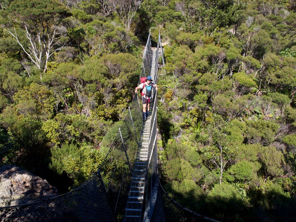 Tramping on Great Barrier Island