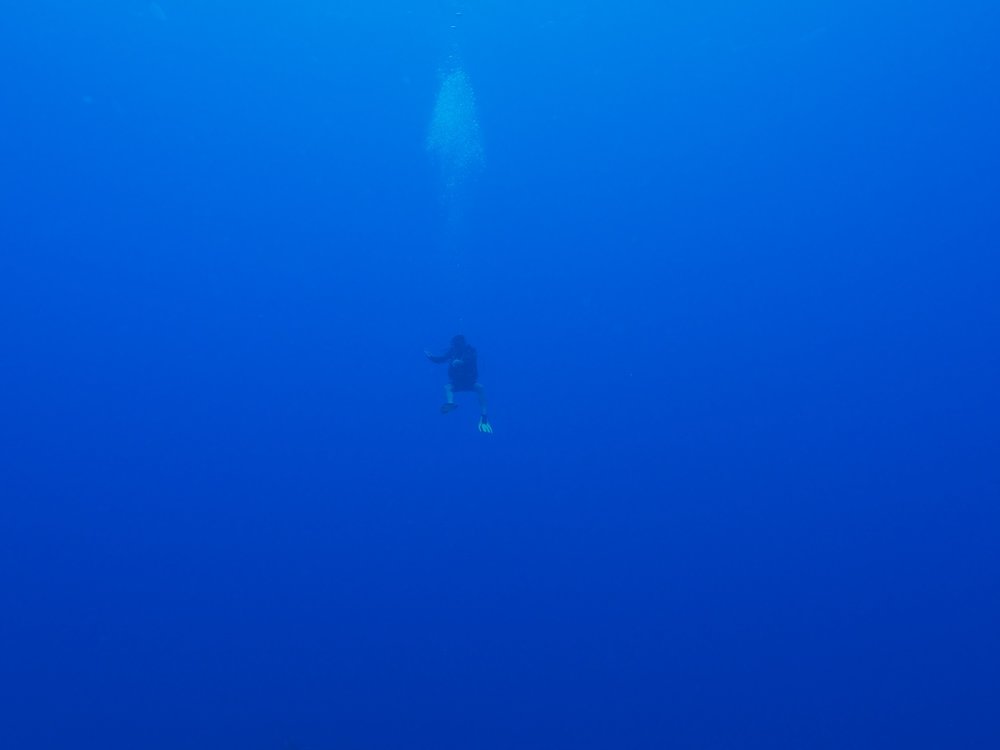 Diving, Rarotonga