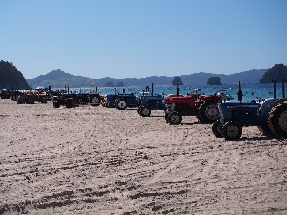Tractors lined up on Hahei Beach, Coromandel