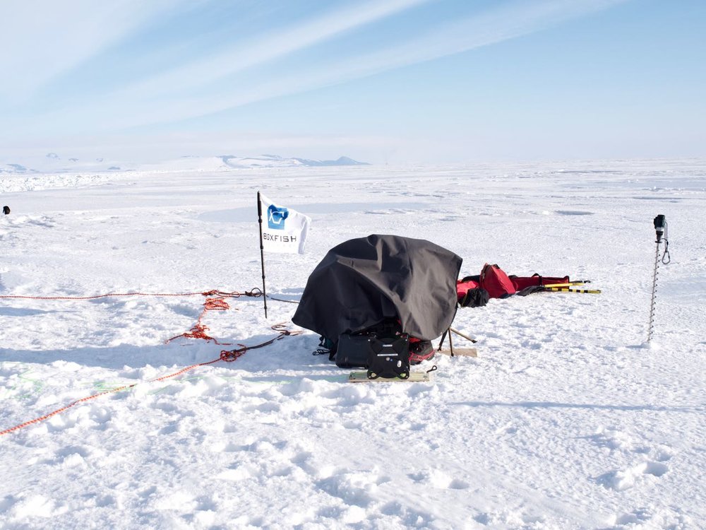 Boxfish mission control under a picnic blanket to block out the midnight sun.