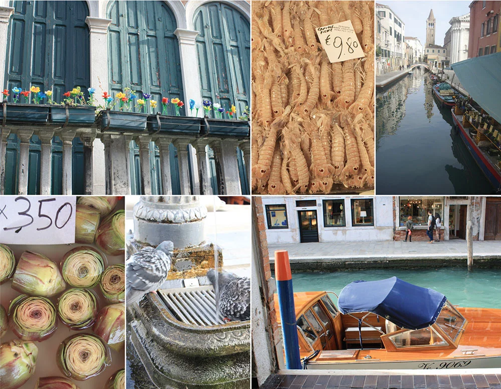 montage_venice_p13.jpg